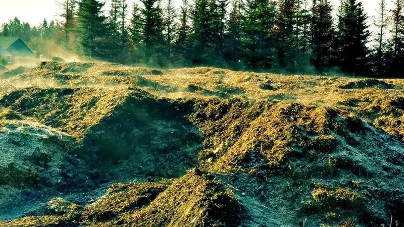Wood Chip Program Grace Tree Services
