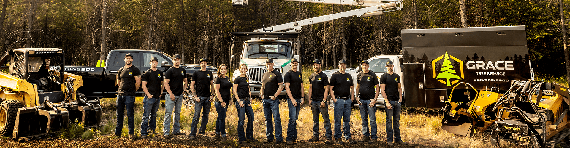 About Us Team Banner Grace Tree Service Hayden idaho