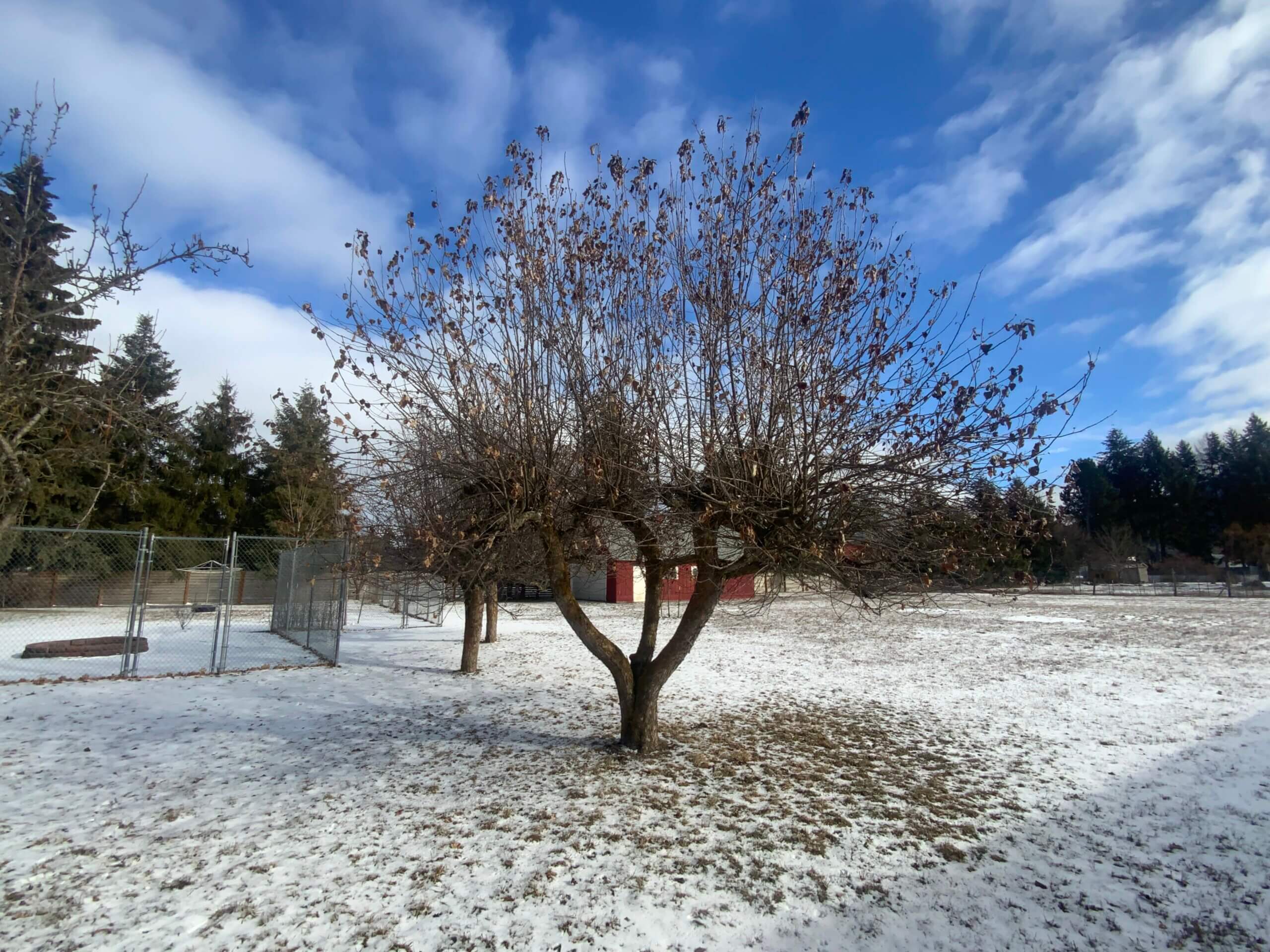 Featured image for “Lasting Effects of a Long Winter”